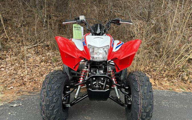 2026 Honda® TRX250X