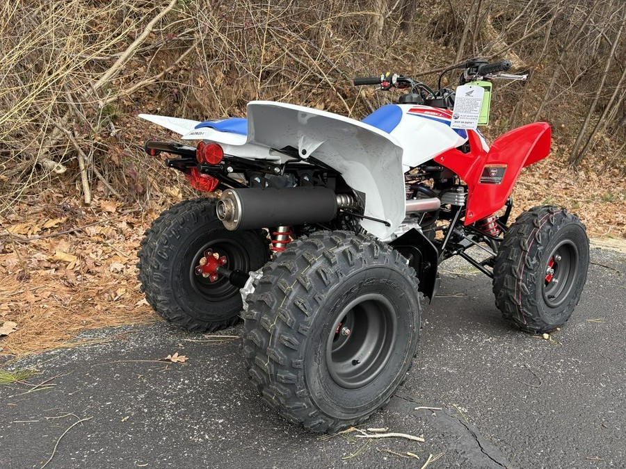 2026 Honda® TRX250X