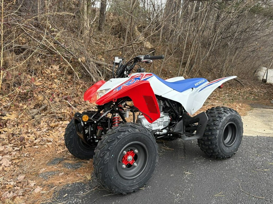 2026 Honda® TRX250X