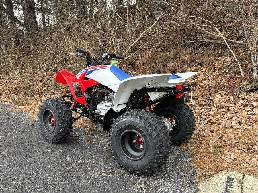 2026 Honda® TRX250X
