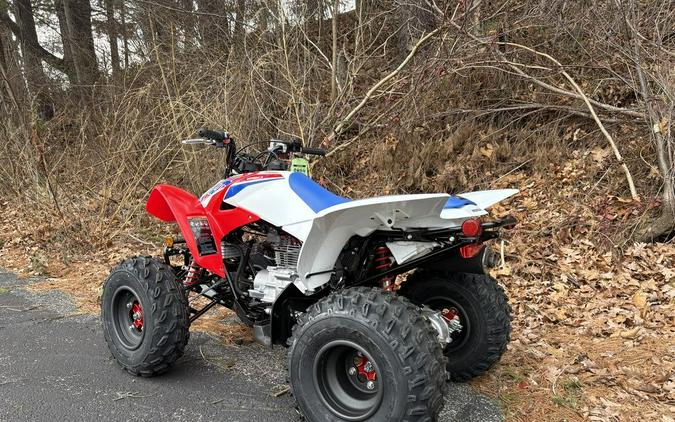 2026 Honda® TRX250X
