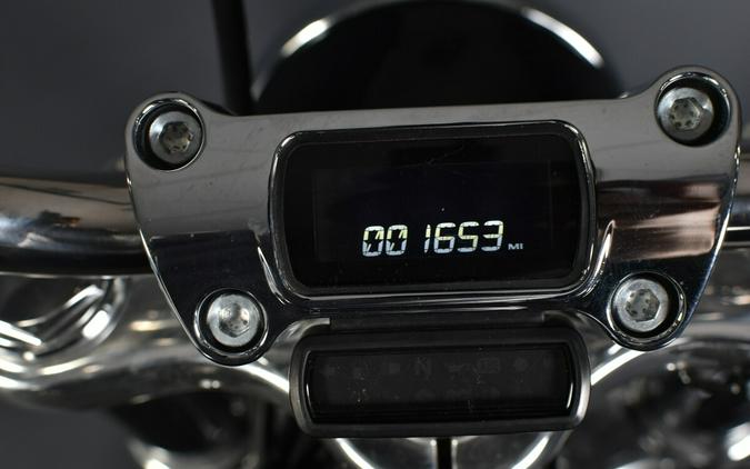 2023 Harley-Davidson Softail Standard FXST