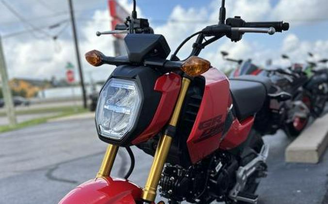 2025 Honda® Grom