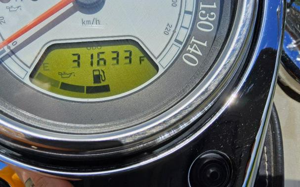 2005 Kawasaki Vulcan® 1600 Classic