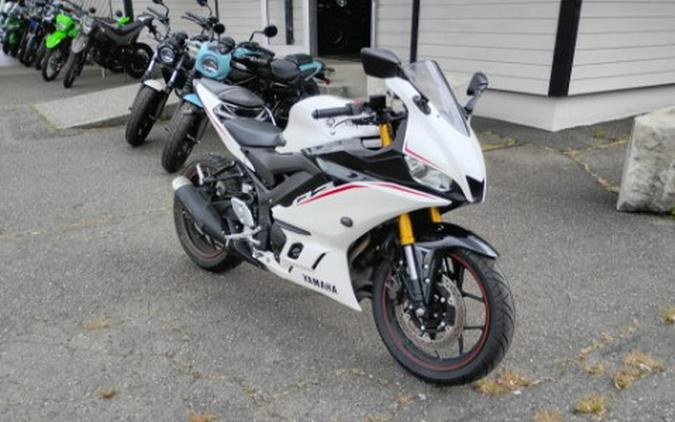 2019 Yamaha YZF-R3 ABS