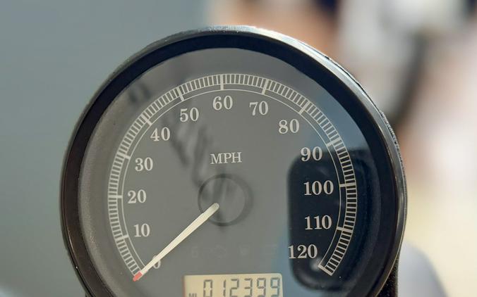 2013 Harley-Davidson Sportster® Iron 883™