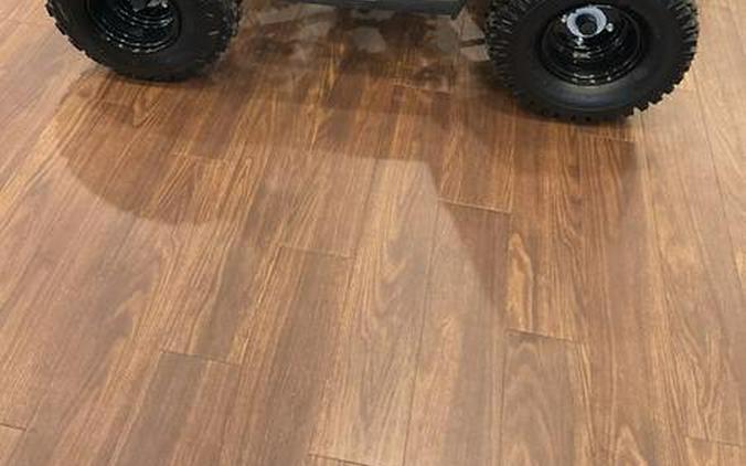 2026 Polaris® Outlaw 110 EFI