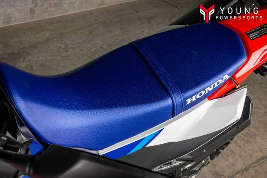 2025 Honda CRF300L Rally ABS