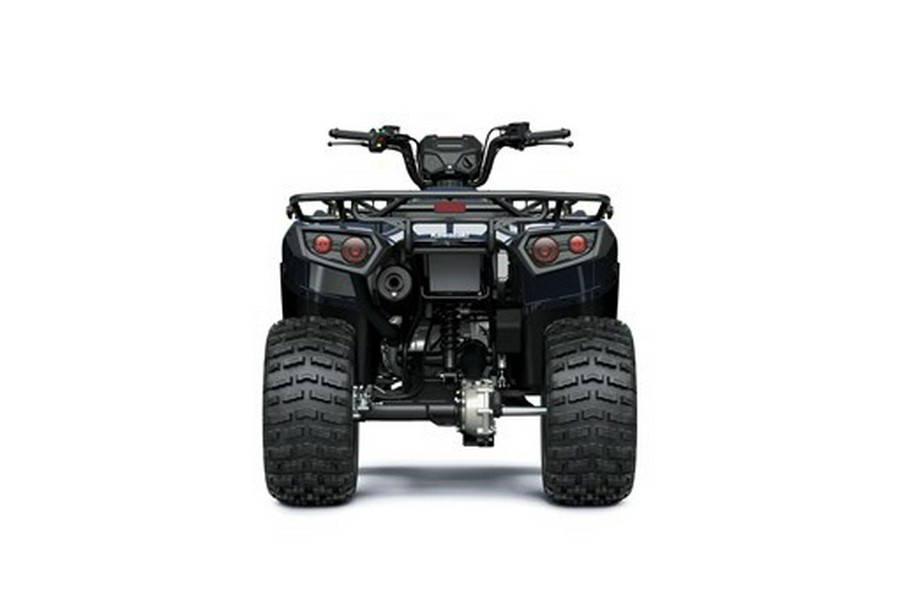 2026 Kawasaki Brute Force 300