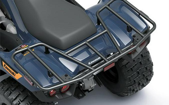 2026 Kawasaki Brute Force 300