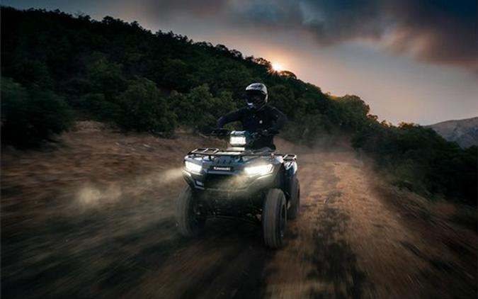 2026 Kawasaki Brute Force 300