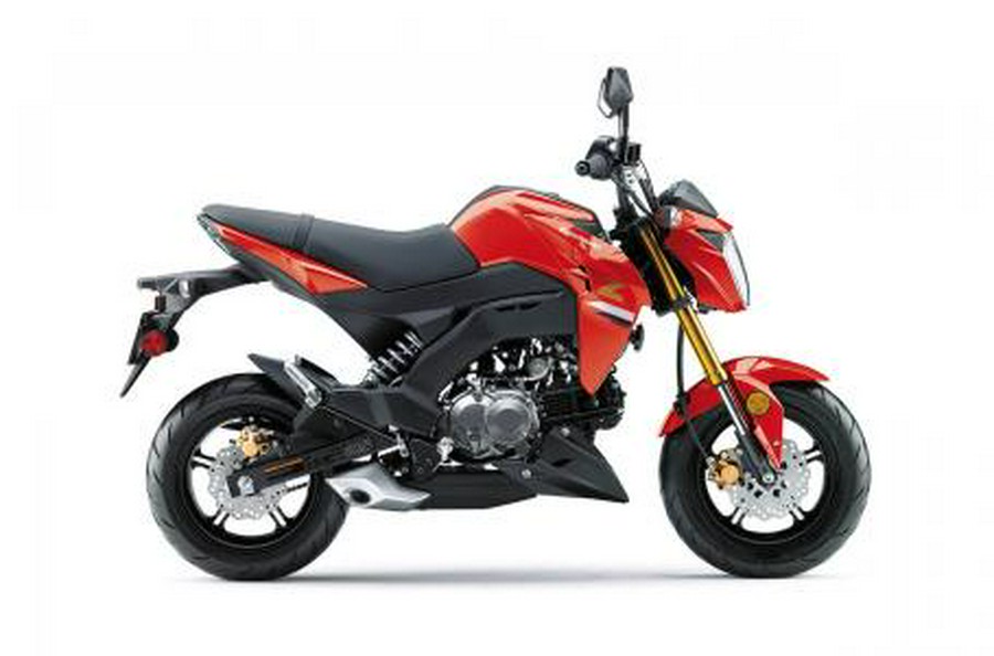 2023 Kawasaki Z125 PRO Base