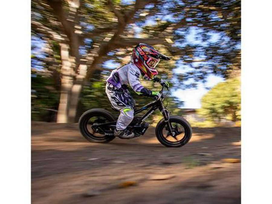 2025 Stacyc 16eDRIVE Elite 36V