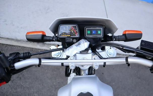 2027 Yamaha TW200