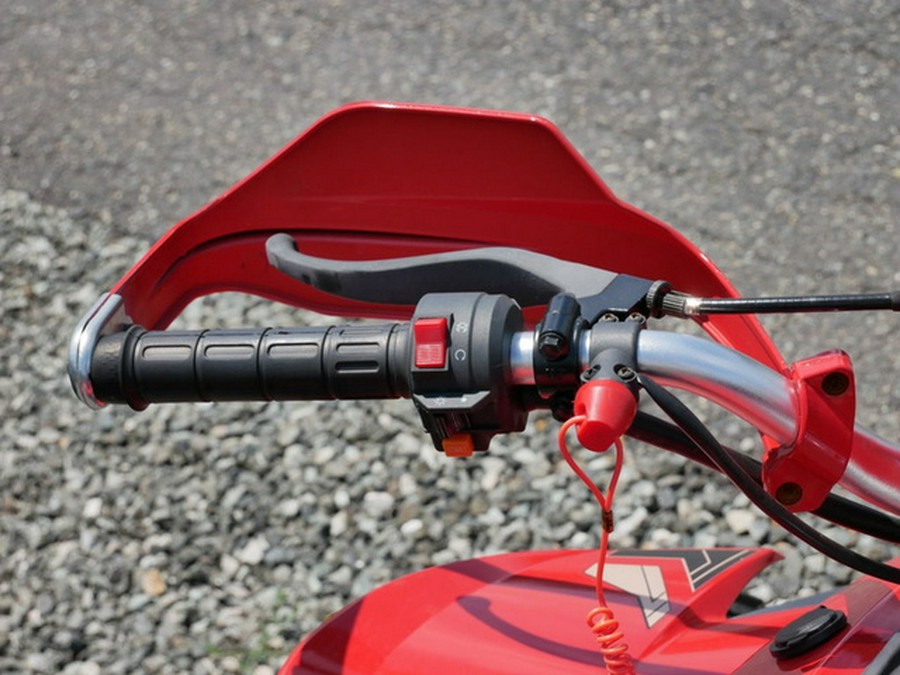 2025 Denago Powersports Daytona 250 FI