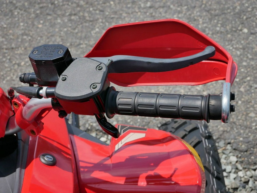 2025 Denago Powersports Daytona 250 FI