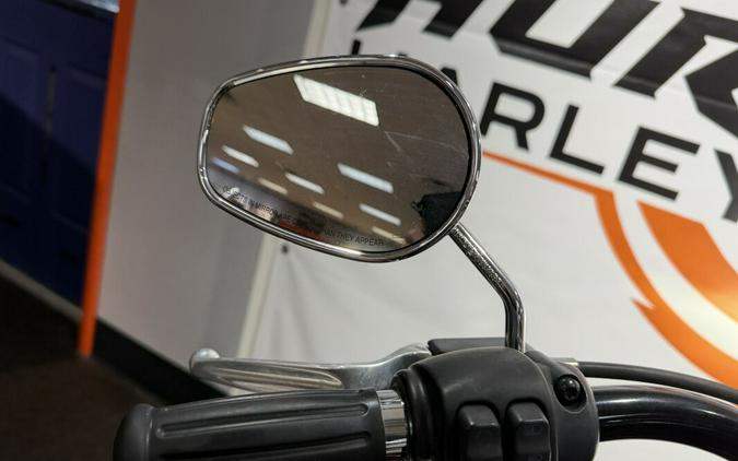 FLSL 2020 Softail Slim®