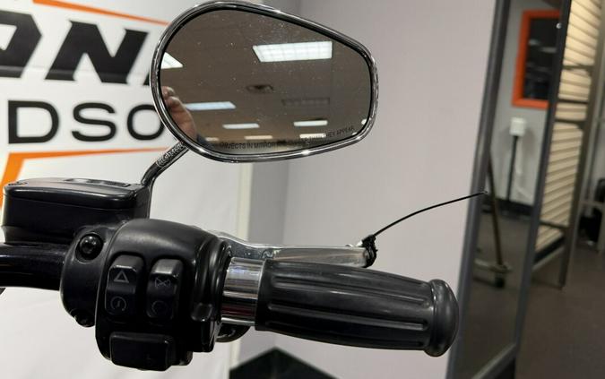 FLSL 2020 Softail Slim®