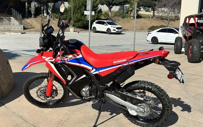 2024 Honda® CRF300L Rally