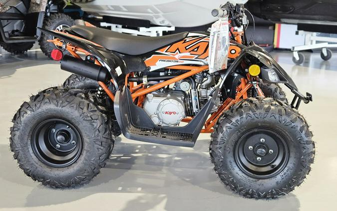 2025 Kayo Predator 110