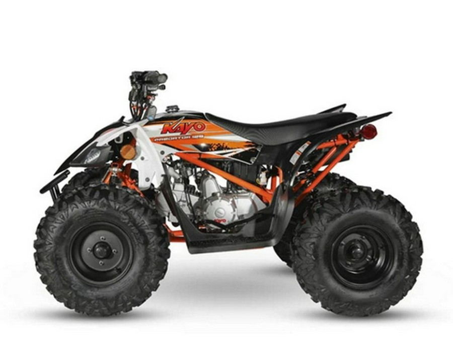 2023 Kayo 125 Predator