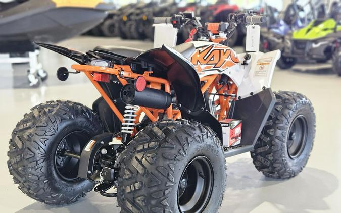 2025 Kayo Predator 110