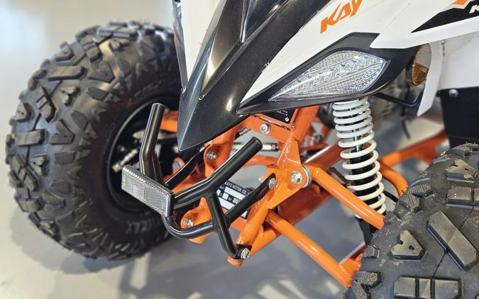 2025 Kayo Predator 110