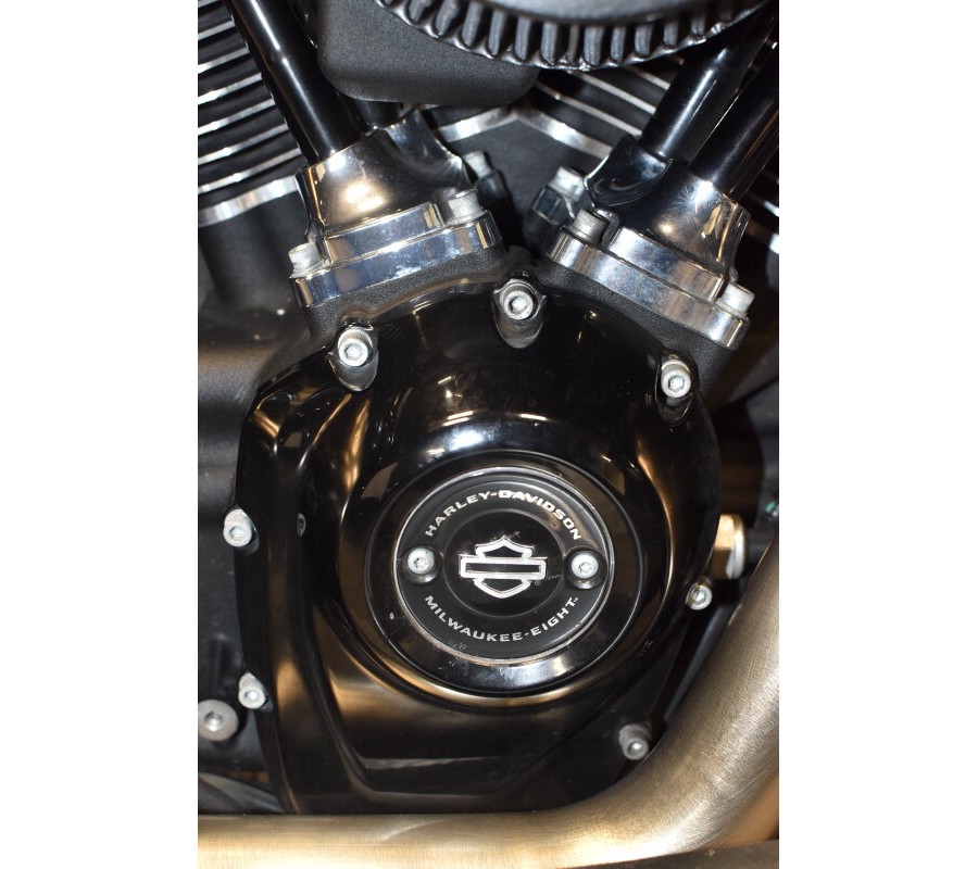 2020 Harley-Davidson Road Glide Special