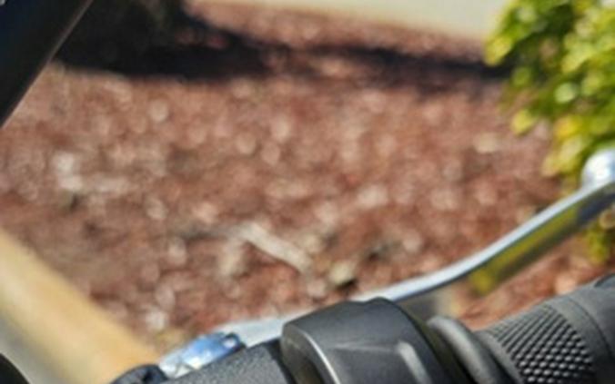 2026 Triumph Speed Twin 900 Pure White/Maui Blue/Tangerine Oran