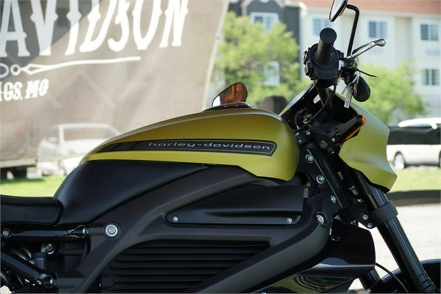 2020 Harley-Davidson® ELW - LiveWire™