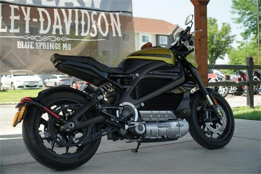 2020 Harley-Davidson® ELW - LiveWire™
