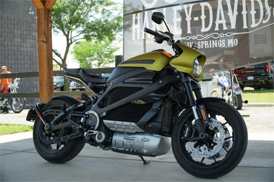 2020 Harley-Davidson® ELW - LiveWire™