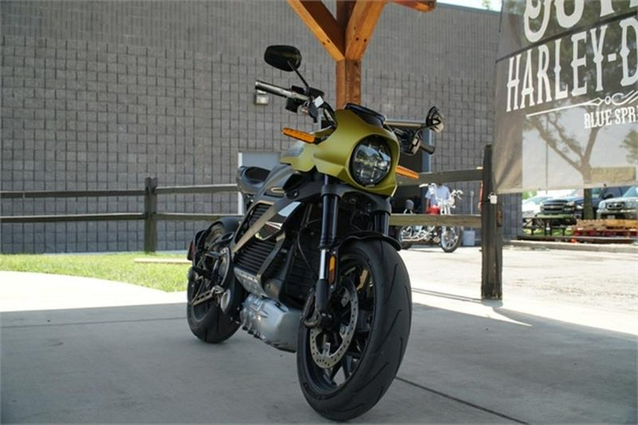2020 Harley-Davidson® ELW - LiveWire™