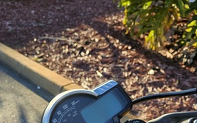 2026 Triumph Speed 400 Pearl Metallic White/Phantom Black