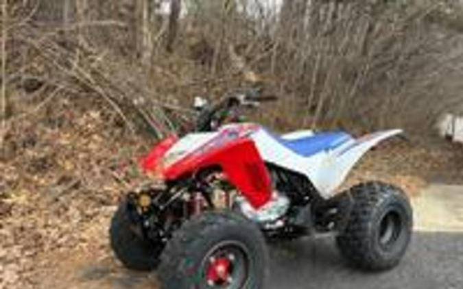 2026 Honda® TRX250X