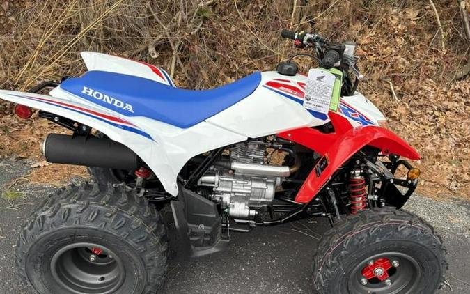 2026 Honda® TRX250X