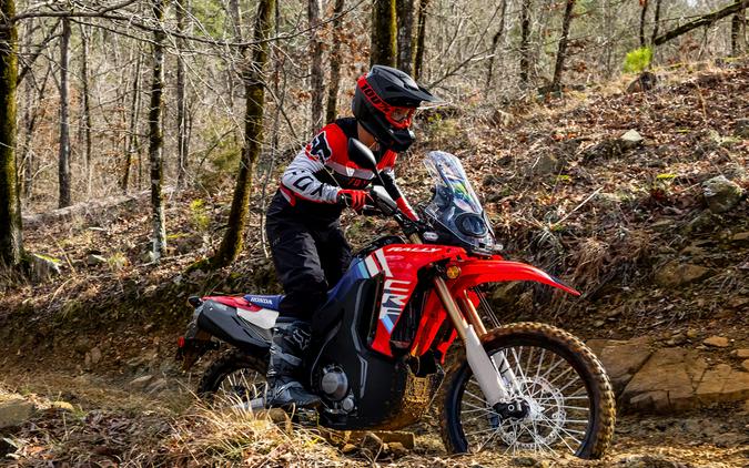 2025 Honda CRF300L RALLY Red - 111089