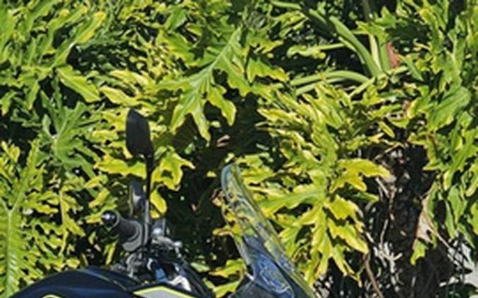 2026 Triumph Tiger Sport 800 Sapphire Black Sport 800