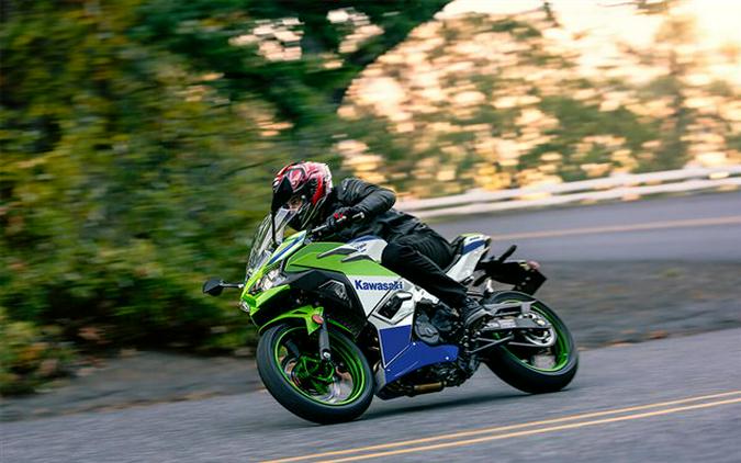 2024 Kawasaki Ninja 500 SE 40th Anniversary Edition ABS