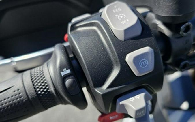 2024 Triumph Tiger 900 Rally Pro Matt Khaki Green / Matt Phanto Rally Pro