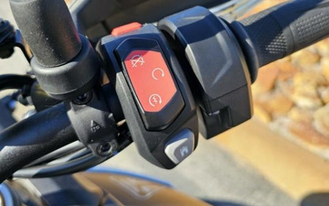 2024 Triumph Tiger 900 Rally Pro Matt Khaki Green / Matt Phanto Rally Pro