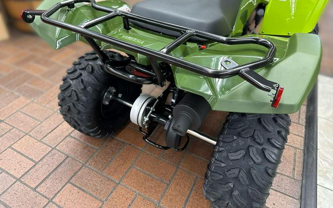 2026 Yamaha GRIZZLY 110