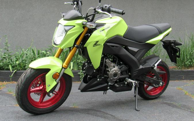 2026 Kawasaki Z125 Pro