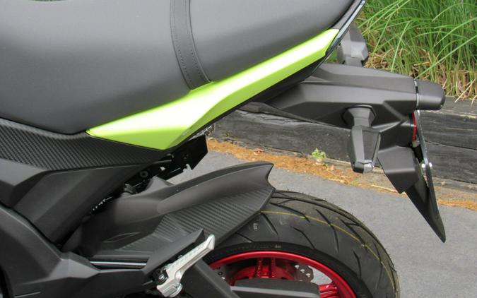 2026 Kawasaki Z125 Pro