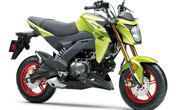 2026 Kawasaki Z125 Pro