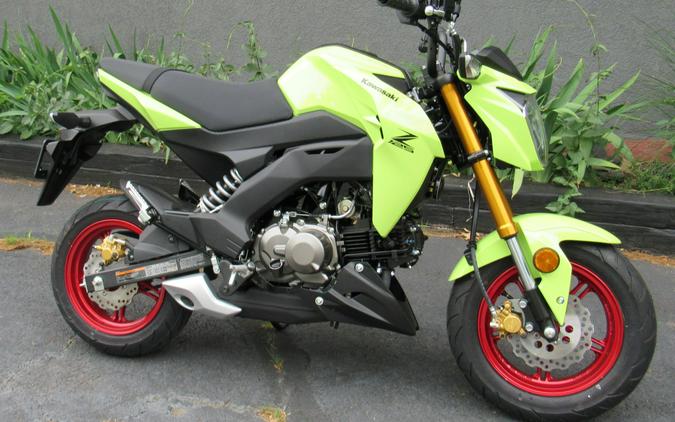 2026 Kawasaki Z125 Pro