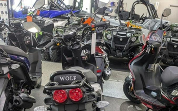 2023 Wolf Brand Scooters Wolf Rugby
