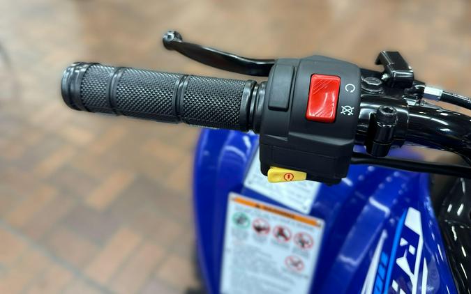 2026 Yamaha RAPTOR 110