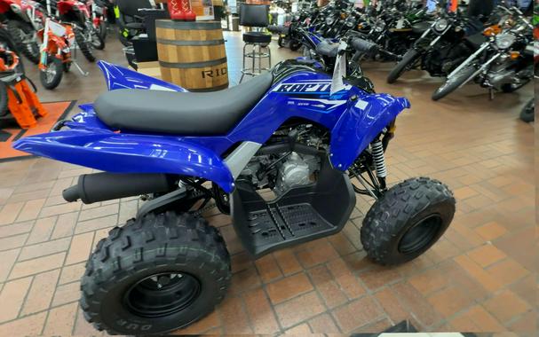 2026 Yamaha RAPTOR 110