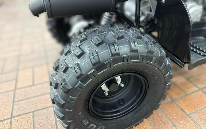 2026 Yamaha RAPTOR 110